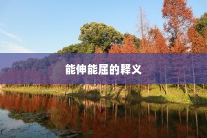 能伸能屈的释义
