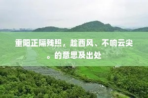 重阳正隔残照，趁西风、不响云尖。的意思及出处