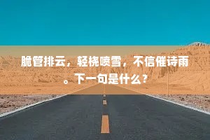 脆管排云，轻桡喷雪，不信催诗雨。下一句是什么？