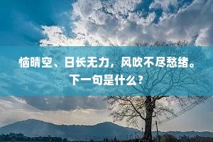 恼晴空、日长无力，风吹不尽愁绪。下一句是什么？