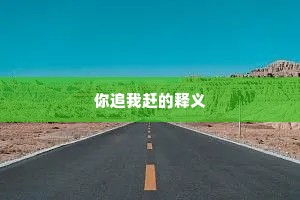你追我赶的释义