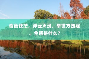 夜色苍茫，浮云灭没，举世方熟寐。全诗是什么？