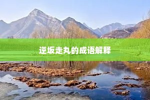 逆坂走丸的成语解释