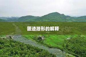 匿迹潜形的解释