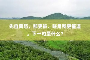 先自离愁，那更被、晓角残更催逼。下一句是什么？