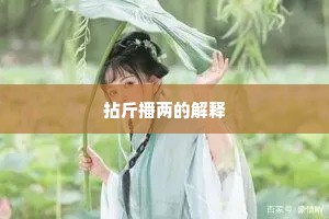 拈斤播两的解释