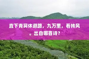 直下青冥休避路，九万里，看抟风。出自哪首诗？