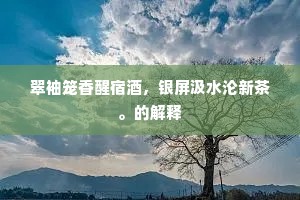翠袖笼香醒宿酒，银屏汲水沦新茶。的解释