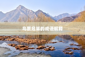 鸟覆危巢的成语解释