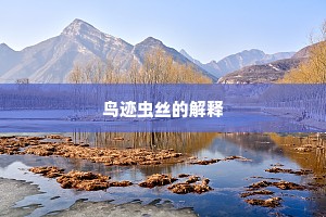 鸟迹虫丝的解释