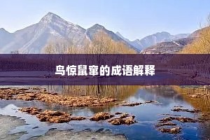 鸟惊鼠窜的成语解释