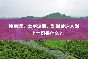 待满城、玉宇琼楼，却报卧庐人起。上一句是什么？