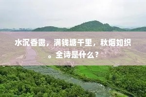 水沉香霭，满钱塘千里，秋烟如织。全诗是什么？