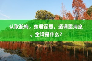 认取疏梅，东君深意，遣调羹消息。全诗是什么？