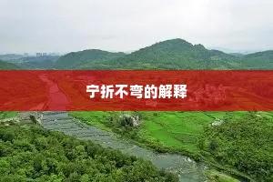 宁折不弯的解释
