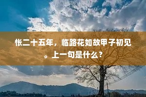 怅二十五年，临路花如故甲子初见。上一句是什么？
