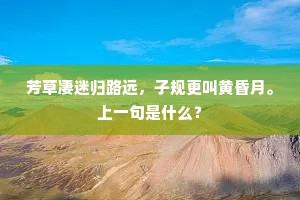 芳草凄迷归路远，子规更叫黄昏月。上一句是什么？