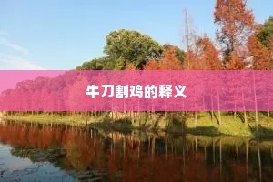 牛刀割鸡的释义