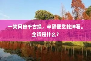 一笑何曾千古换，半醺便觉乾坤窄。全诗是什么？