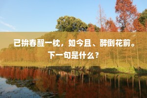 已拚春酲一枕，如今且、醉倒花前。下一句是什么？