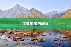牛黄狗宝的释义