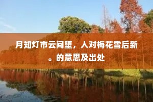 月知灯市云间堕，人对梅花雪后新。的意思及出处