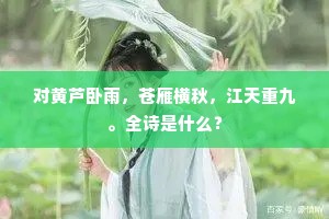 对黄芦卧雨，苍雁横秋，江天重九。全诗是什么？