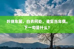 吟绕东篱，白衣何处，谁复当年偶。下一句是什么？