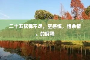 二十五弦弹不尽，空感慨，惜余情。的解释