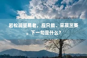 岩松润篁易老，应只能、采菽烹葵。下一句是什么？