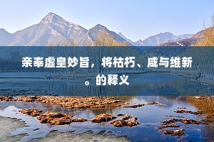 亲奉虚皇妙旨，将枯朽、咸与维新。的释义