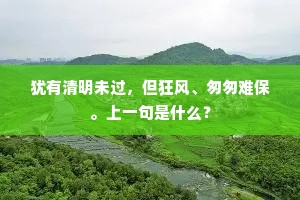 犹有清明未过，但狂风、匆匆难保。上一句是什么？