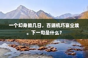 一个幻身能几日，百端机巧哀尘埃。下一句是什么？