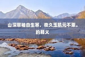 山深翠袖自生寒，夜久玉肌元不粟。的释义