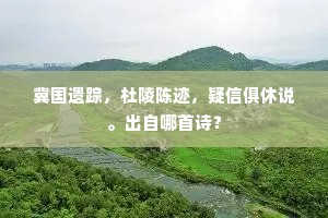 冀国遗踪，杜陵陈迹，疑信俱休说。出自哪首诗？
