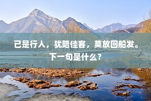 已是行人，犹陪佳客，莫放回船发。下一句是什么？