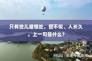 只有些儿堪恨处，管不似、人长久。上一句是什么？