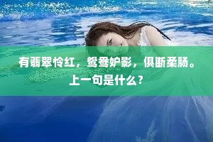 有翡翠怜红，鸳鸯妒影，俱断柔肠。上一句是什么？