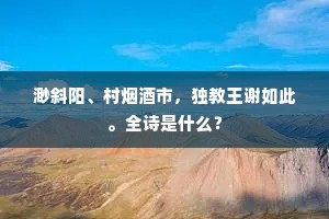 渺斜阳、村烟酒市，独教王谢如此。全诗是什么？