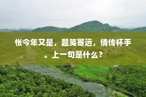 怅今年又是，题笺寄远，倩传杯手。上一句是什么？
