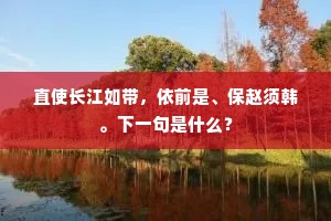 直使长江如带，依前是、保赵须韩。下一句是什么？