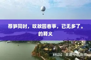 荐笋同时，叹故园春事，已无多了。的释义