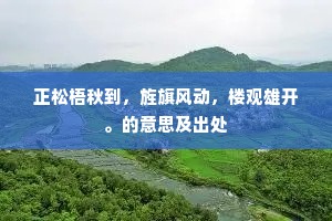 正松梧秋到，旌旗风动，楼观雄开。的意思及出处