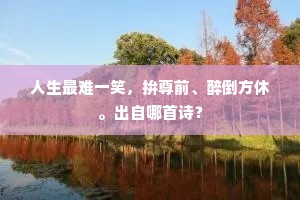 人生最难一笑，拚尊前、醉倒方休。出自哪首诗？