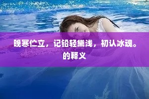 晚寒伫立，记铅轻黛浅，初认冰魂。的释义