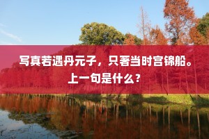 写真若遇丹元子，只著当时宫锦船。上一句是什么？