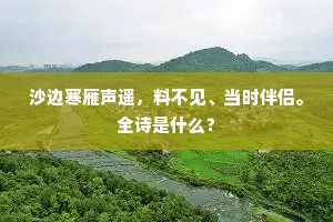 沙边寒雁声遥，料不见、当时伴侣。全诗是什么？
