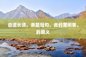 自遣长须，亲题短句，去约萧闲客。的释义