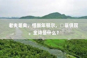 老夫耄矣，怪新年顿尔，□衰俱现。全诗是什么？