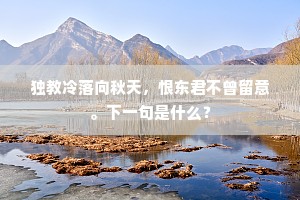 独教冷落向秋天，恨东君不曾留意。下一句是什么？